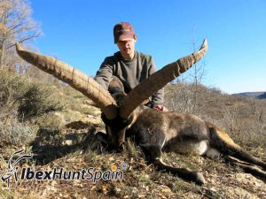 Beceite Ibex, Beceite Ibex Hunt, Beceite Ibex Hunting In Spain. Hunting Beceite Ibex,