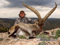Beceite Ibex, Beceite Ibex Hunt, Beceite Ibex Hunting In Spain. Hunting Beceite Ibex,