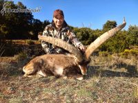 Beceite Ibex hunt