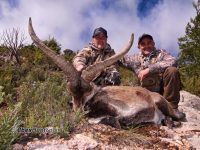 Beceite Ibex hunt - Beceite Spanish Ibex