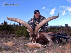 Beceite Ibex Hunt - Beceite Spanish Ibex