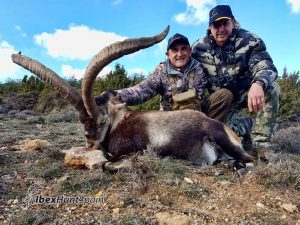 Beceite Spanish Ibex - Beceite Ibex hunt