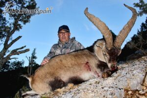 Beceite ibex hunting in Spain