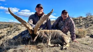 Beceite Ibex Hunts