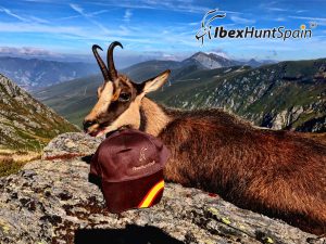 Cantabrian Chamois hunt in Spain