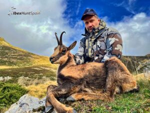 Cantabrian chamois hunting