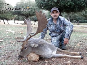 Black Fallow deer, Black Fallow deer hunting in Spain, Black Fallow deer hunt