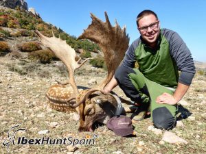 Fallow deer, Fallow deer hunt, Fallow deer hunting, Fallow deer hunting in Spain, Hunting Fallow deer in Spain,