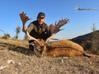 Fallow deer hunting