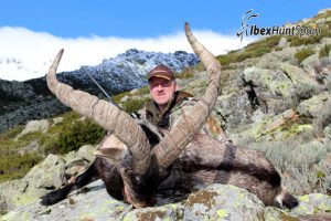 Gredos Ibex, Gredos Ibex hunt, Gredos ibex hunting, Gredos ibex hunting in Spain, Hunting Gredos ibex,