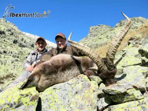 Gredos Ibex, Gredos Ibex hunt, Gredos ibex hunting, Gredos ibex hunting in Spain, Hunting Gredos ibex,