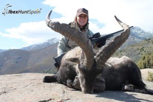 Gredos Ibex, Gredos Ibex hunt, Gredos ibex hunting, Gredos ibex hunting in Spain, Hunting Gredos ibex,