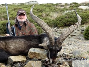 Gredos Ibex, Gredos Ibex hunt, Gredos ibex hunting, Gredos ibex hunting in Spain, Hunting Gredos ibex,