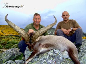 Gredos Ibex, Gredos Ibex hunt, Gredos ibex hunting, Gredos ibex hunting in Spain, Hunting Gredos ibex,