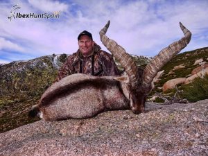 Gredos Spanish Ibex hunt