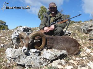Iberian Mouflon, Iberian Mouflon Hunt, Iberian Mouflon Hunting, Iberian Mouflon Hunting in Spain, European Mouflon, Hunting Mouflon in Spain
