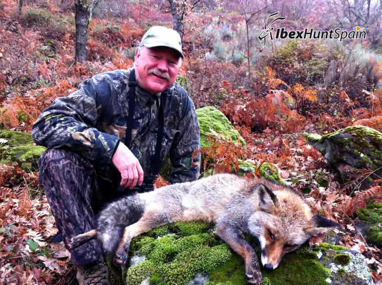 Hunting-Red-Fox-Diciembre-2011-5