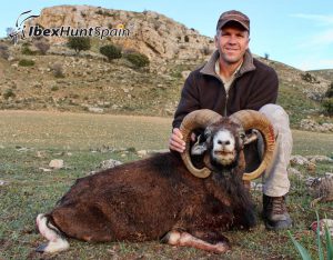 Iberian Mouflon, Iberian Mouflon Hunt, Iberian Mouflon Hunting, Iberian Mouflon Hunting in Spain, European Mouflon, Hunting Mouflon in Spain
