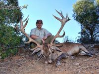 Iberian Red Deer, Red Stag, Iberian Red Deer hunt, Iberian Red deer hunting in Spain, hunting red stag in Spain, Red stag Hunting in Spain
