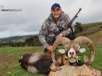 Mouflon hunts