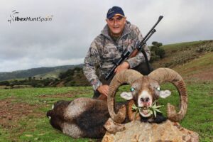 Mouflon hunts