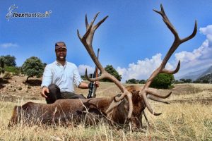 Red Stag hunt in Spain