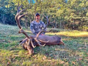 Red Stag