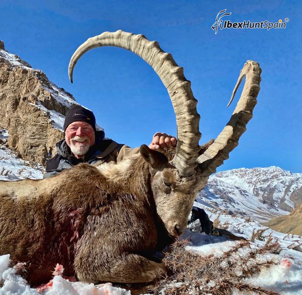 Mid-asian Ibex hunting 