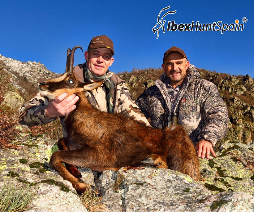 Pyrenean Chamois Hunting in Spain