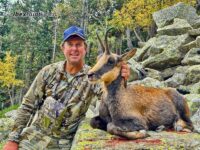 Pyrenean chamois hunting in Spain