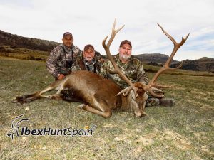 red stag hunting in Spain