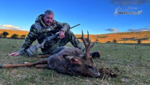 Roe deer hunting