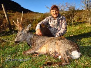 Roe deer hunt