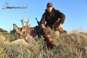 Roe deer hunt