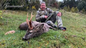 Roe deer hunting