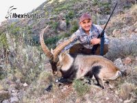 Ronda Ibex, Ronda Ibex hunt, Ronda Ibex Hunting, Ronda Ibex hunt in Spain, Hunting Ronda Ibex,