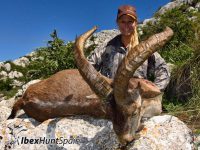 Ronda Ibex, Ronda Ibex hunt, Ronda Ibex Hunting, Ronda Ibex hunt in Spain, Hunting Ronda Ibex,