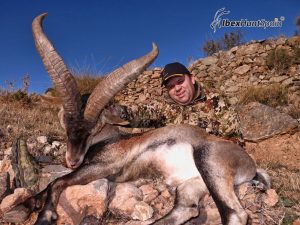 Sierra Nevada Ibex hunt