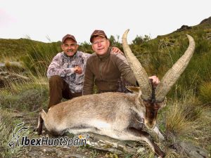 Southeastern Ibex hunt , Ibexhuntspain