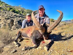 Southeastern Ibex hunts