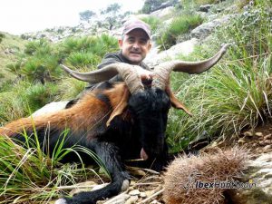 Balearean boc hunt, Balearean goat hunt