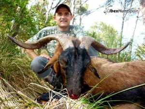 Balearean boc hunt, Balearean goat hunt