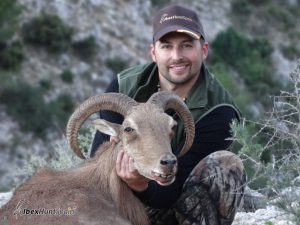 audad sheep hunt, barbary sheep hunt