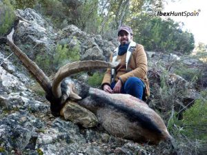 Beceite Ibex, Beceite Ibex Hunt, Beceite Ibex Hunting In Spain. Hunting Beceite Ibex,