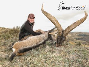 Beceite Ibex, Beceite Ibex Hunt, Beceite Ibex Hunting In Spain. Hunting Beceite Ibex,