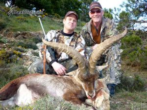 Beceite Ibex, Beceite Ibex Hunt, Beceite Ibex Hunting In Spain. Hunting Beceite Ibex,