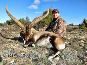 Beceite Ibex, Beceite Ibex Hunt, Beceite Ibex Hunting In Spain. Hunting Beceite Ibex,
