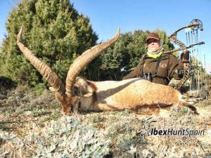 Beceite Ibex, Beceite Ibex Hunt, Beceite Ibex Hunting In Spain. Hunting Beceite Ibex,