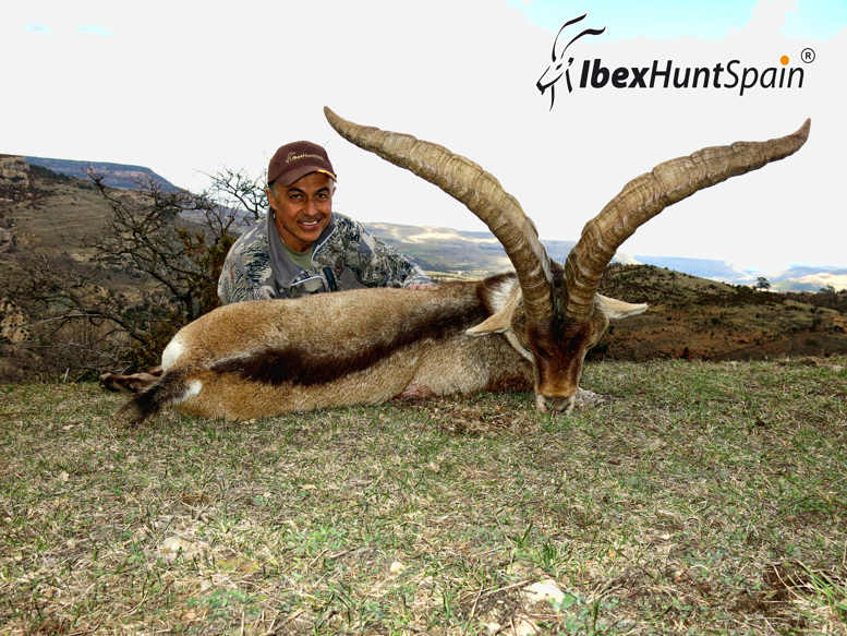 beceite-ibex-hunt-in spain-5-15