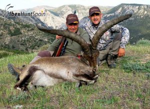 Beceite Ibex, Beceite Ibex Hunt, Beceite Ibex Hunting In Spain. Hunting Beceite Ibex,